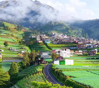 Linggarjati Magelang: Menyapa Langit dari Resto & Glamping Tertinggi di Kota Sejuta Pesona