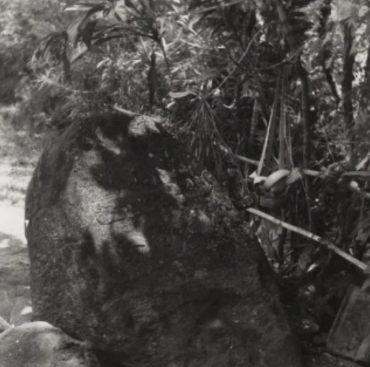 Situs Batu Prasasti Ketro Wonojoyo: Jejak Awal Peradaban Pacitan