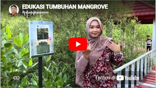 [VIDEO] EDUKASI TUMBUHAN MANGROVE KEMBANG-PACITAN