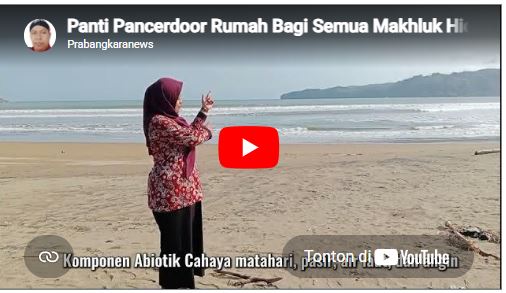 [VIDEO] Pantai Pancer Door Rumah Bagi Semua Makhluk Hidup “Mari Kita Jaga”
